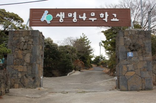 생명나무학교