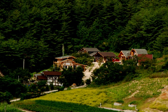 삼무곡자연예술학교